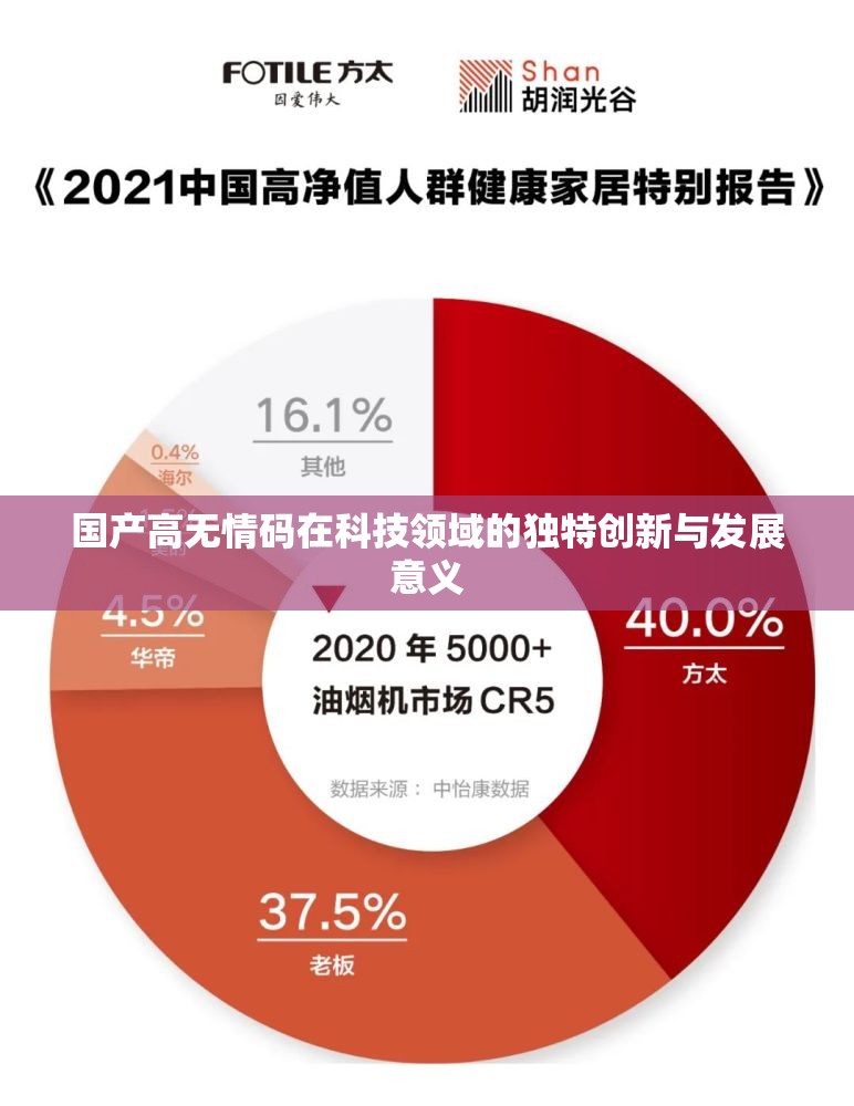 国产高无情码在科技领域的独特创新与发展意义