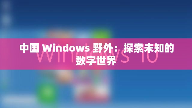 中国 Windows 野外：探索未知的数字世界