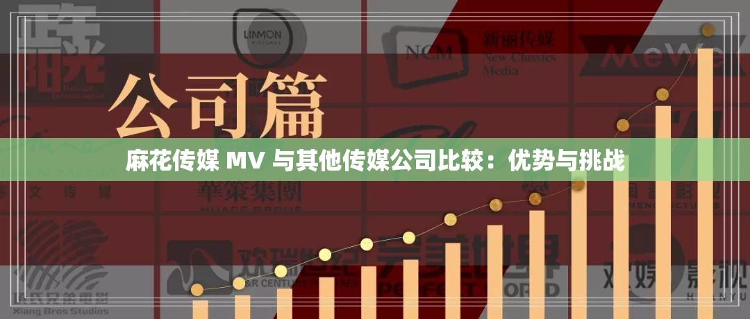 麻花传媒 MV 与其他传媒公司比较：优势与挑战
