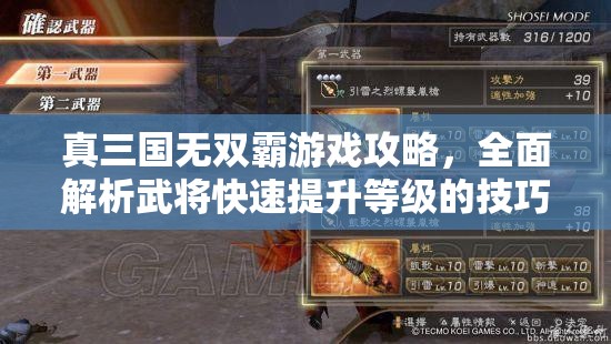 真三国无双霸游戏攻略，全面解析武将快速提升等级的技巧与方法
