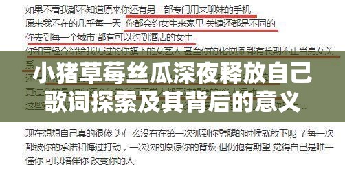 小猪草莓丝瓜深夜释放自己歌词探索及其背后的意义分析