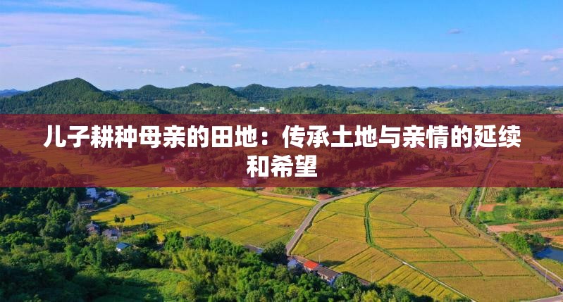 儿子耕种母亲的田地：传承土地与亲情的延续和希望