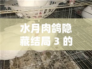 水月肉鸽隐藏结局 3 的触发方法全解及深入探究