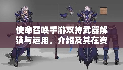 使命召唤手游双持武器解锁与运用，介绍及其在资源管理中的重要性