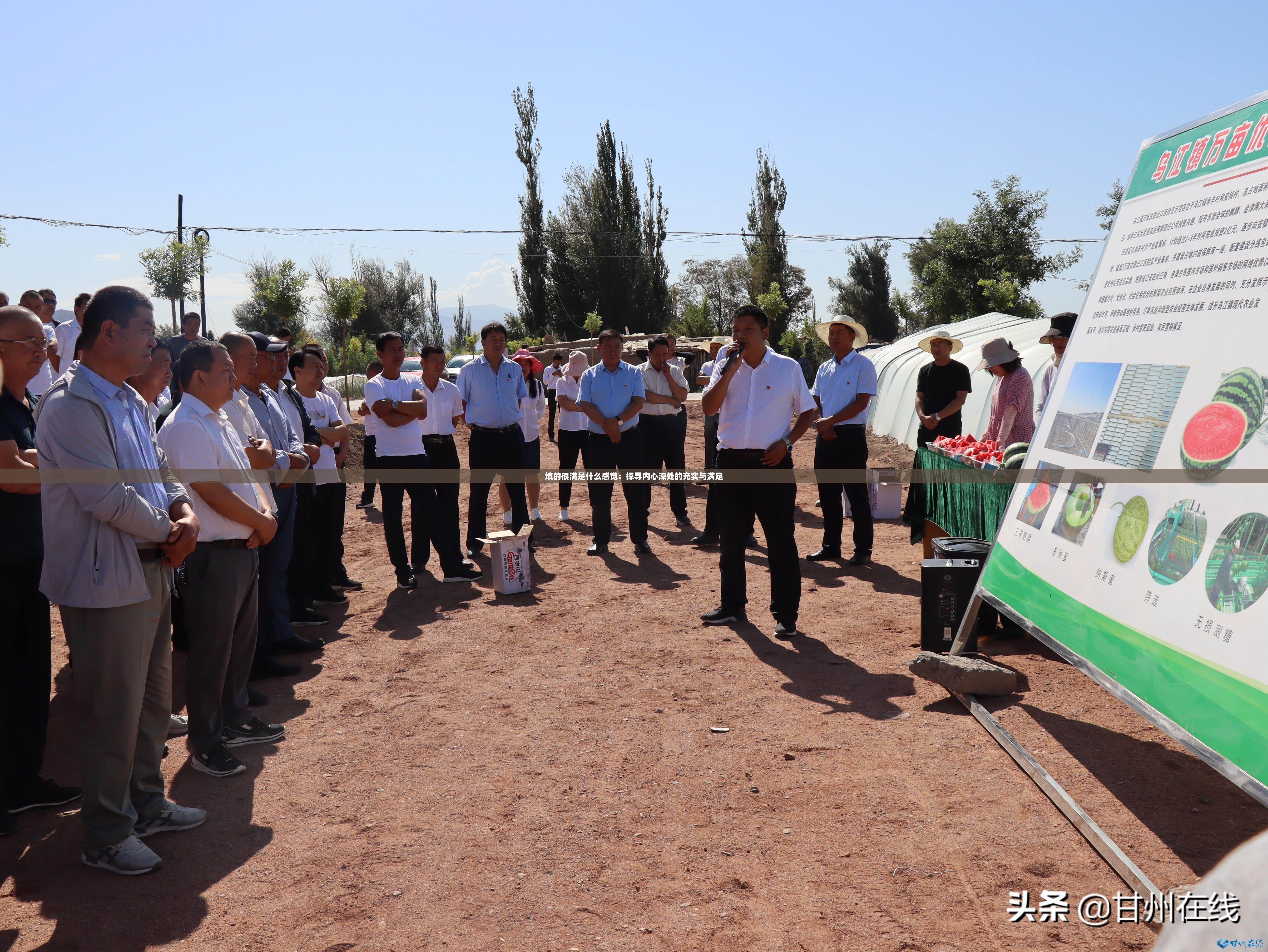 填的很满是什么感觉：探寻内心深处的充实与满足