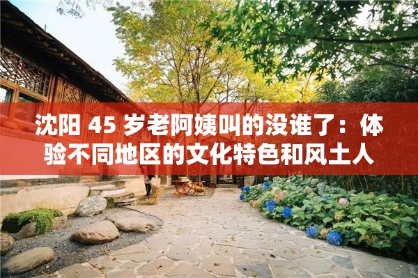 沈阳 45 岁老阿姨叫的没谁了：体验不同地区的文化特色和风土人情