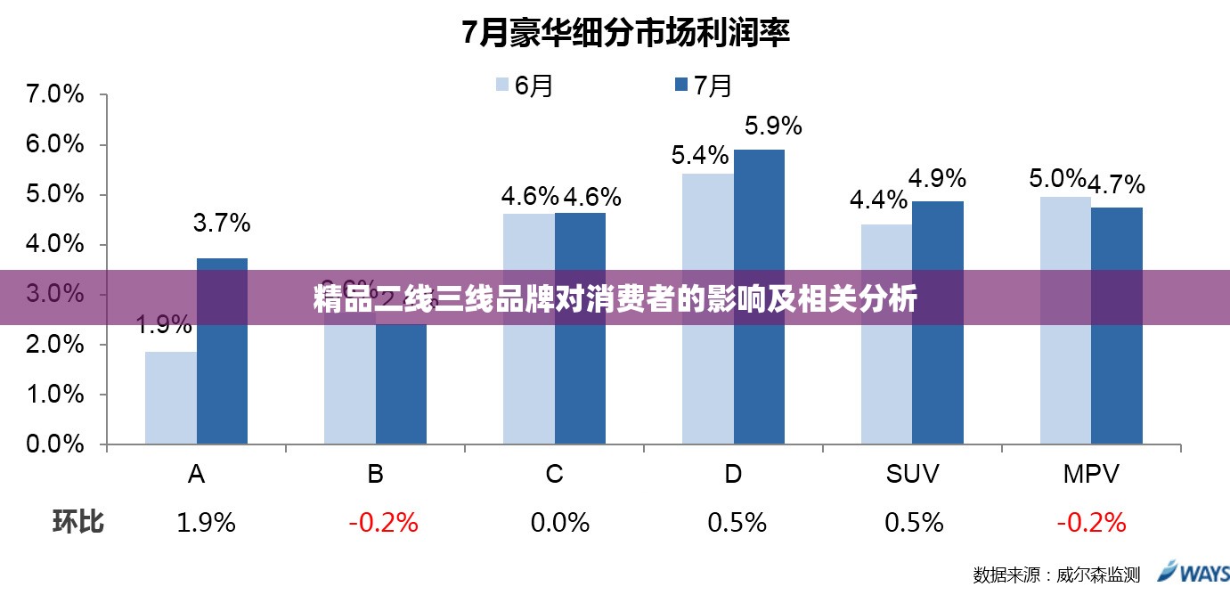 精品二线三线品牌对消费者的影响及相关分析