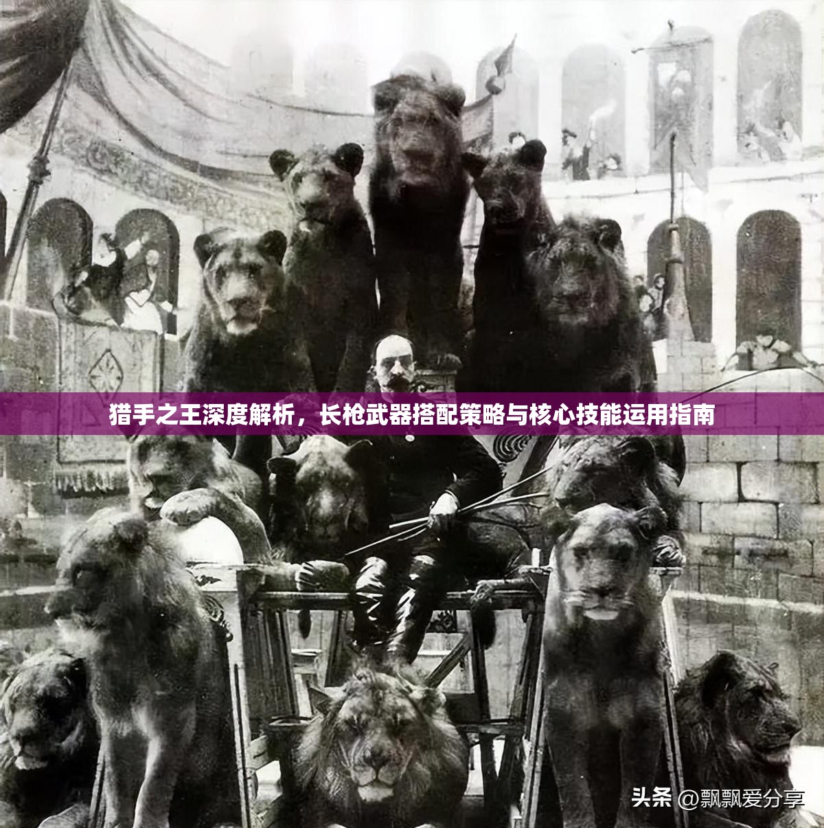 猎手之王深度解析，长枪武器搭配策略与核心技能运用指南