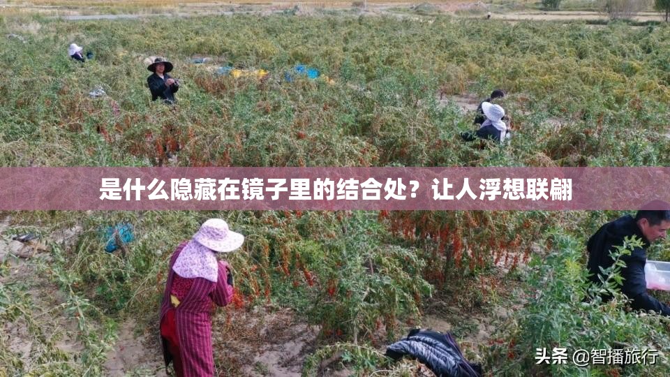 是什么隐藏在镜子里的结合处？让人浮想联翩