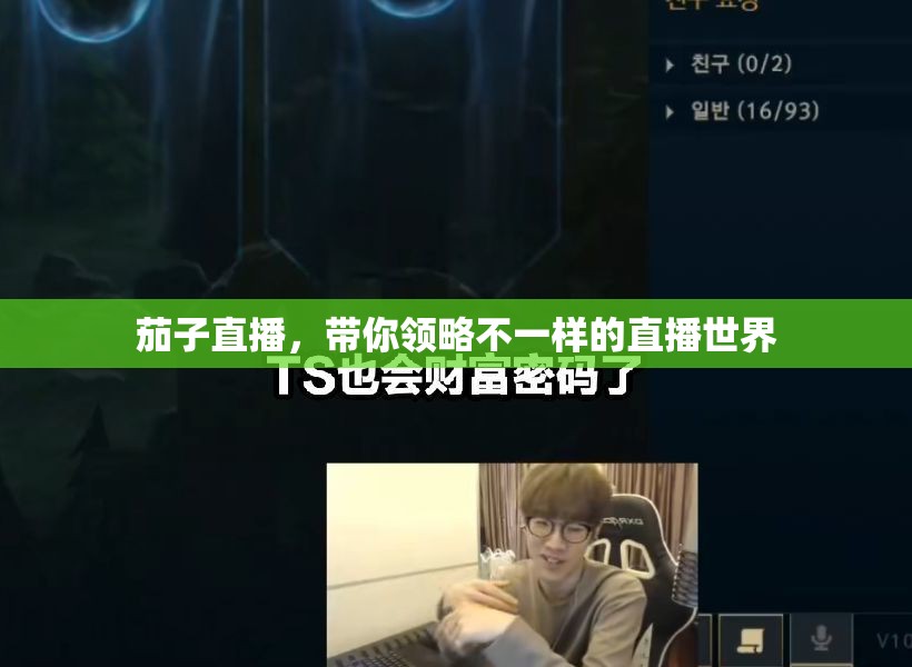 茄子直播，带你领略不一样的直播世界