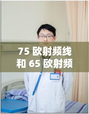 75 欧射频线和 65 欧射频线区别全解析之详细对比与应用探讨