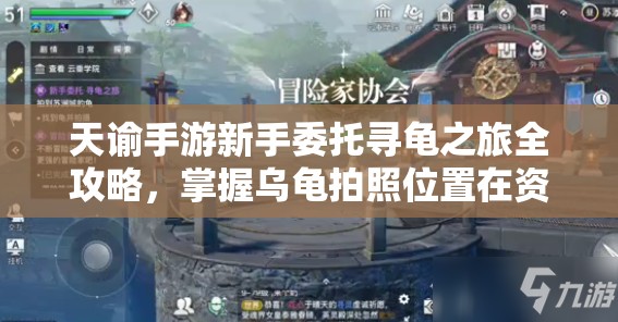 天谕手游新手委托寻龟之旅全攻略，掌握乌龟拍照位置在资源管理中的重要性及高效利用技巧
