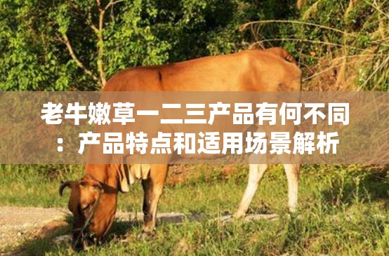 老牛嫩草一二三产品有何不同：产品特点和适用场景解析