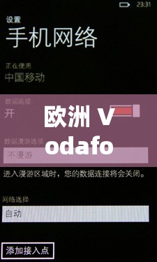 欧洲 Vodafone.APN 设置如何：轻松上网不求人