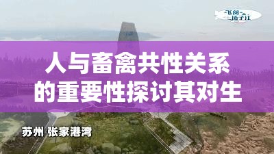 人与畜禽共性关系的重要性探讨其对生态环境与人类社会的深远影响