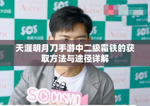 天涯明月刀手游中二级霜铁的获取方法与途径详解