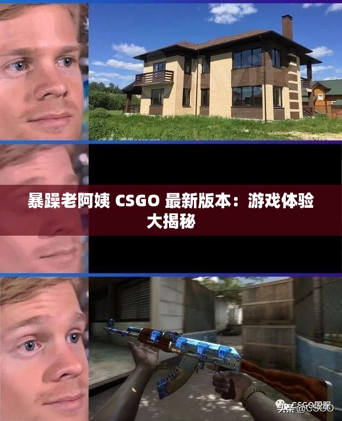 暴躁老阿姨 CSGO 最新版本：游戏体验大揭秘