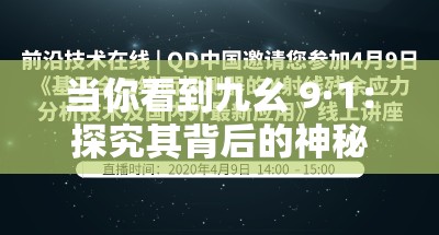 当你看到九幺 9·1：探究其背后的神秘与未知