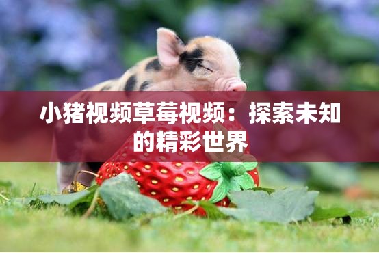 小猪视频草莓视频：探索未知的精彩世界