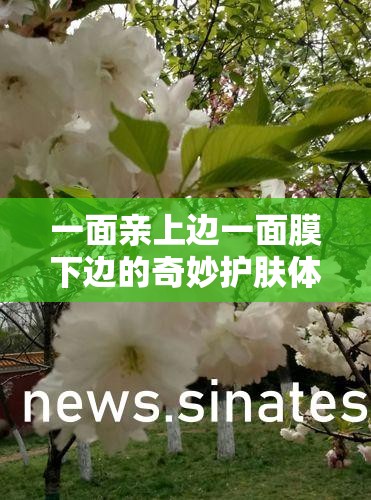一面亲上边一面膜下边的奇妙护肤体验日志