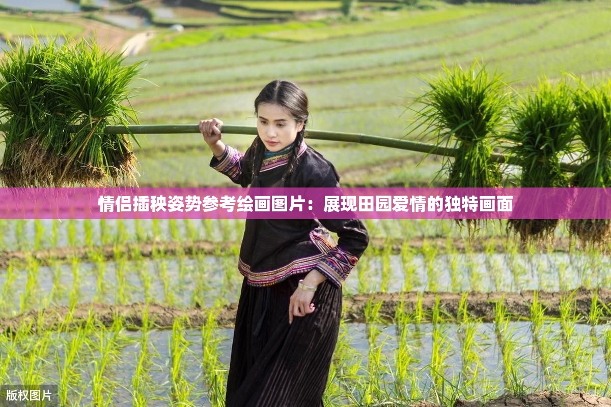 情侣插秧姿势参考绘画图片：展现田园爱情的独特画面