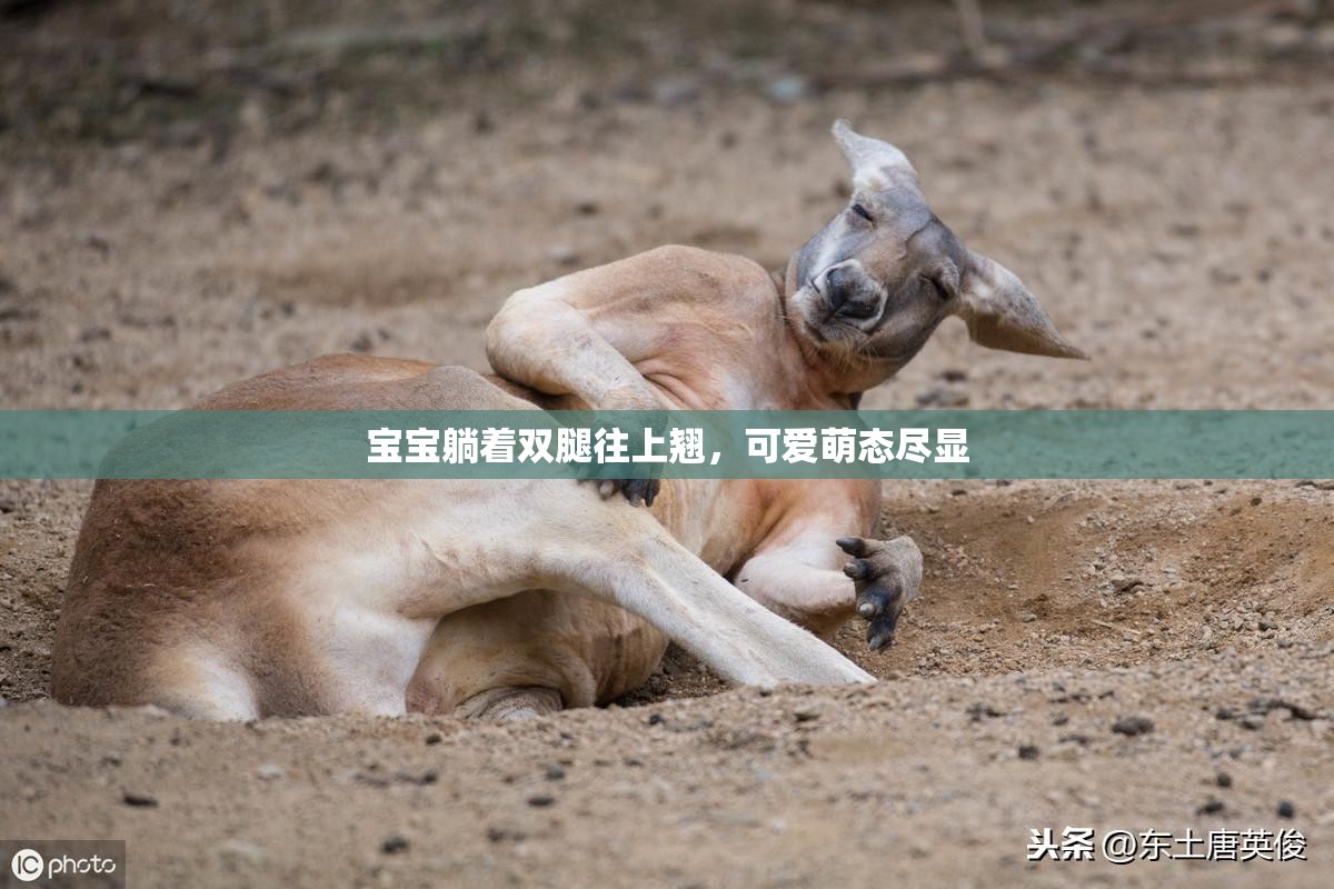 宝宝躺着双腿往上翘，可爱萌态尽显