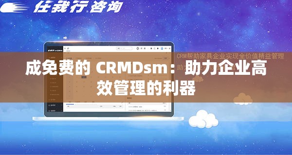 成免费的 CRMDsm：助力企业高效管理的利器