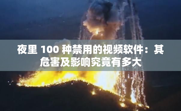 夜里 100 种禁用的视频软件：其危害及影响究竟有多大