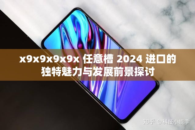 x9x9x9x9x 任意槽 2024 进口的独特魅力与发展前景探讨