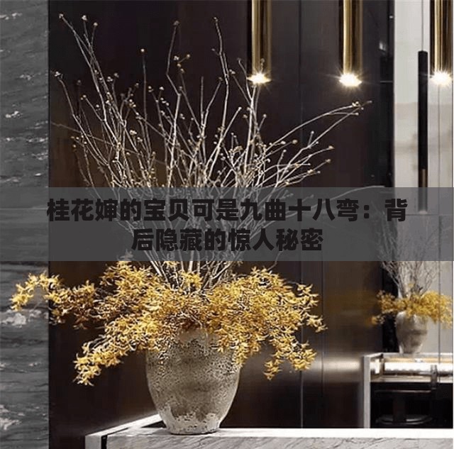 桂花婶的宝贝可是九曲十八弯：背后隐藏的惊人秘密