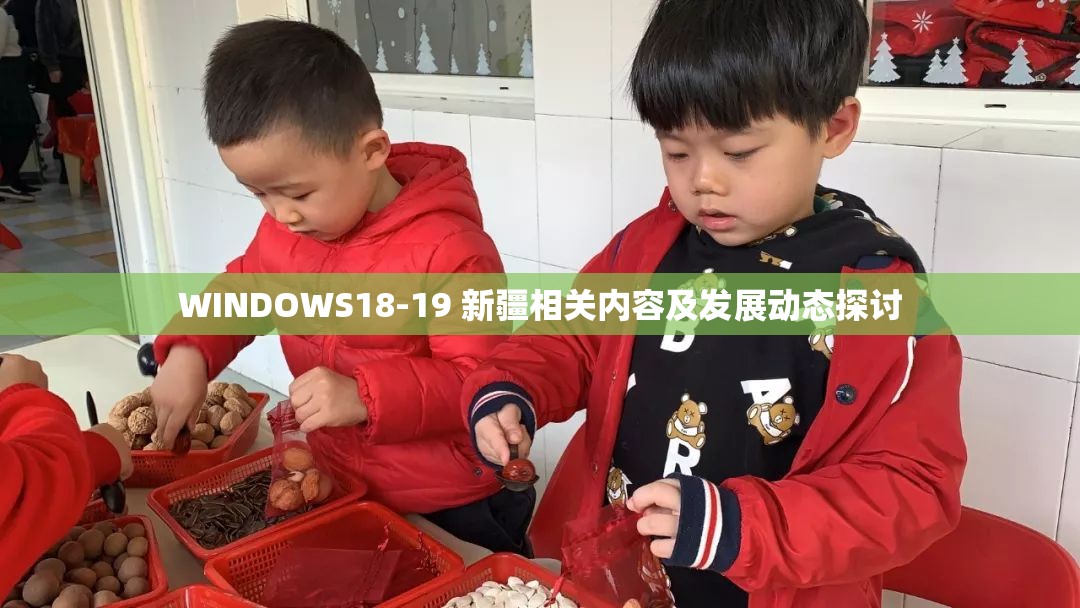 WINDOWS18-19 新疆相关内容及发展动态探讨
