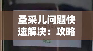 圣采儿问题快速解决：攻略指南