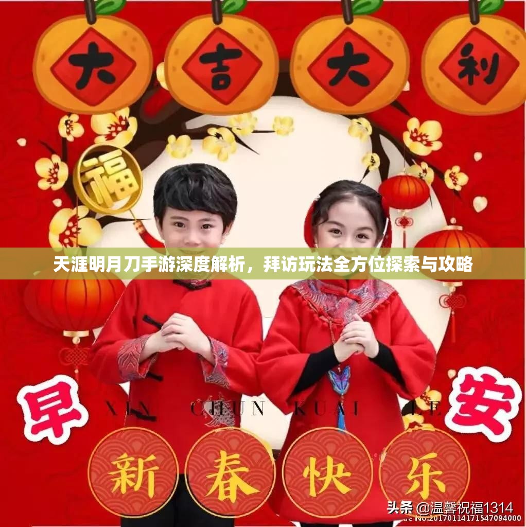 天涯明月刀手游深度解析，拜访玩法全方位探索与攻略