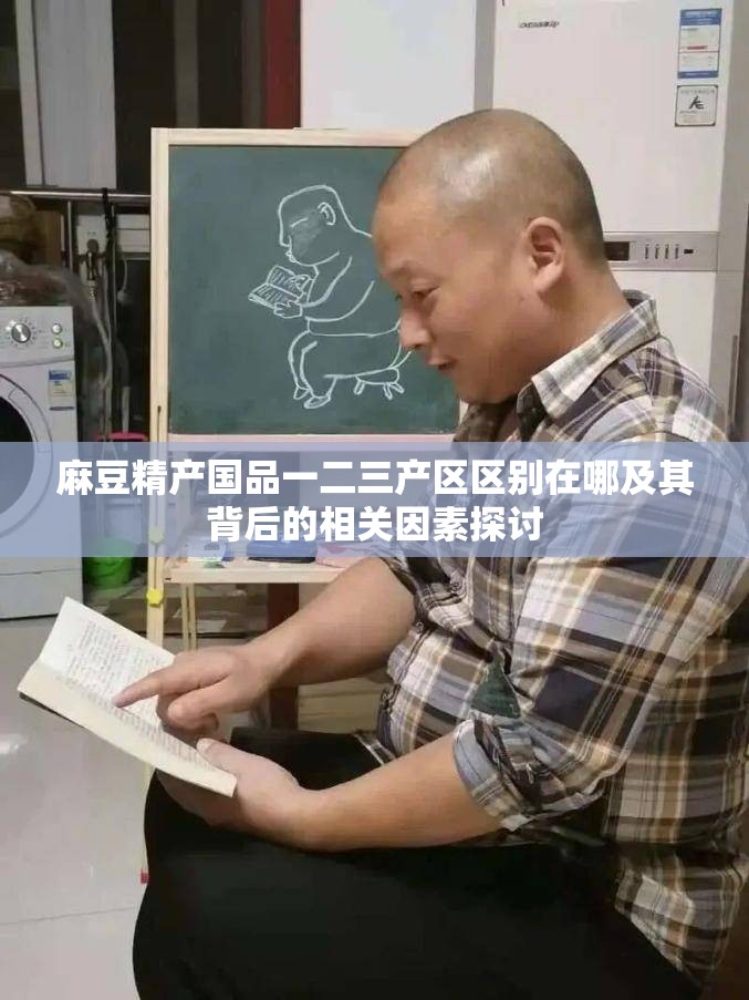 麻豆精产国品一二三产区区别在哪及其背后的相关因素探讨