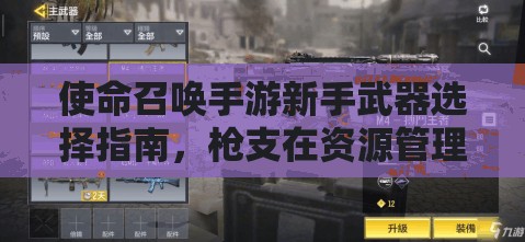 使命召唤手游新手武器选择指南，枪支在资源管理中的重要性及实战策略