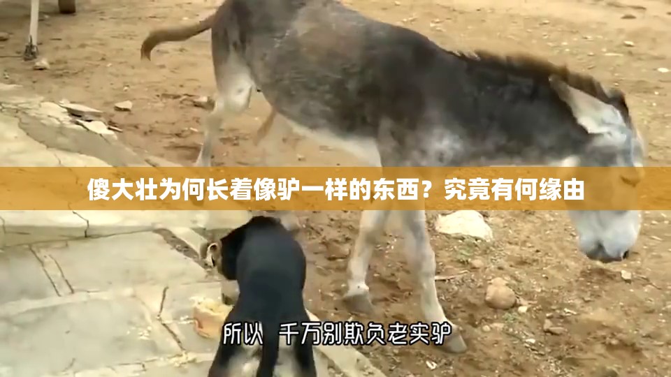 傻大壮为何长着像驴一样的东西？究竟有何缘由