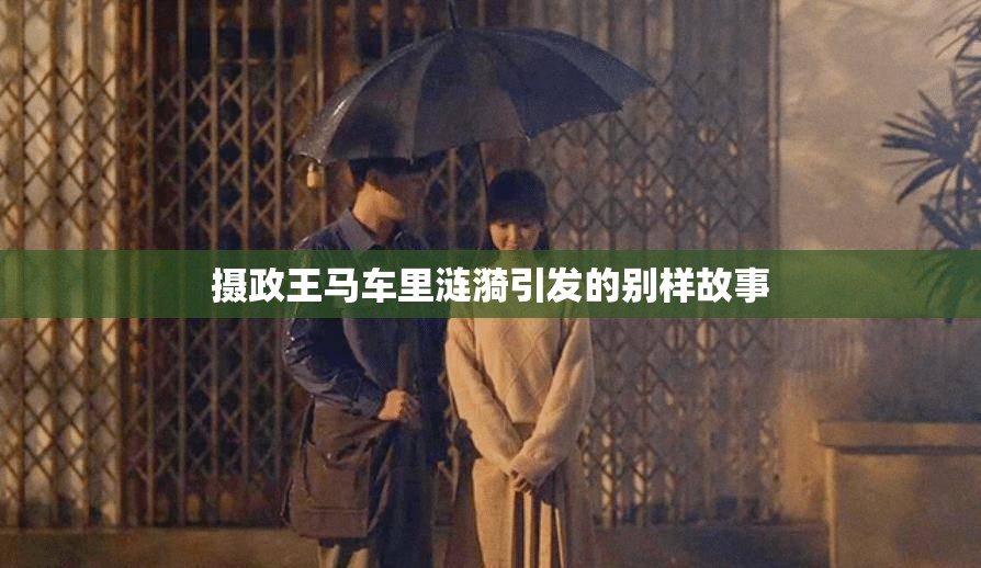 摄政王马车里涟漪引发的别样故事