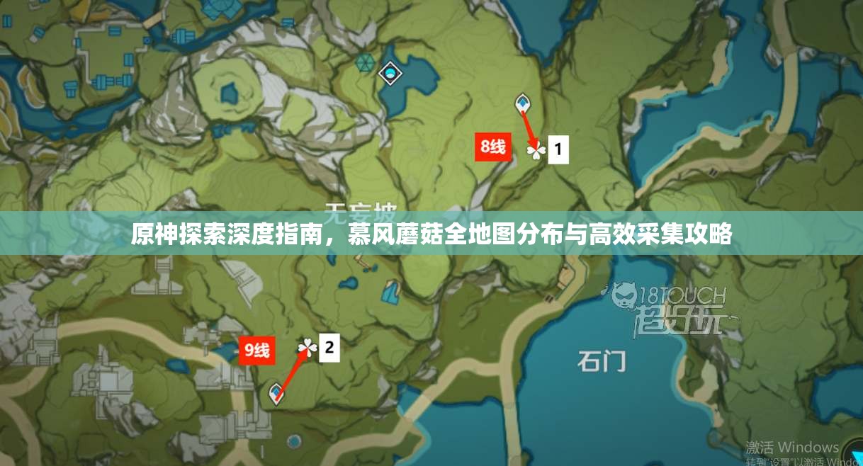 原神探索深度指南，慕风蘑菇全地图分布与高效采集攻略