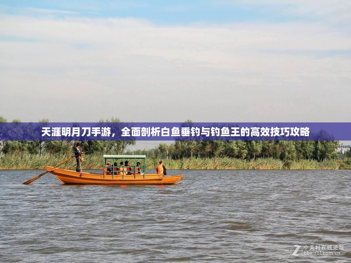 天涯明月刀手游，全面剖析白鱼垂钓与钓鱼王的高效技巧攻略