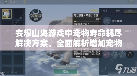 妄想山海游戏中宠物寿命耗尽解决方案，全面解析增加宠物寿命的有效方法