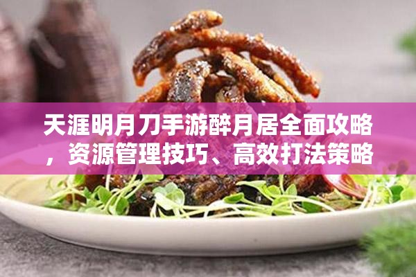 天涯明月刀手游醉月居全面攻略，资源管理技巧、高效打法策略及成就解锁指南