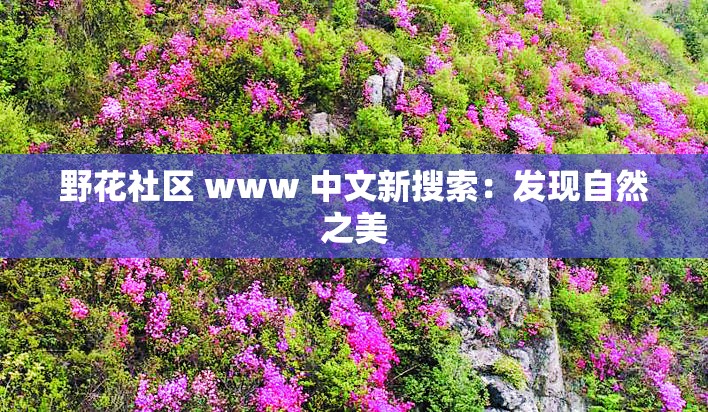 野花社区 www 中文新搜索：发现自然之美