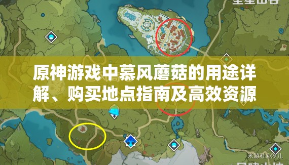 原神游戏中慕风蘑菇的用途详解、购买地点指南及高效资源管理策略