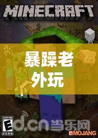 暴躁老外玩 Minecraft：选择适合他的版本