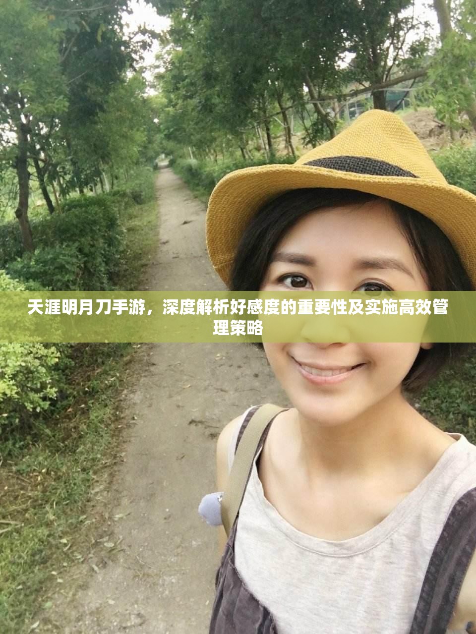 天涯明月刀手游，深度解析好感度的重要性及实施高效管理策略