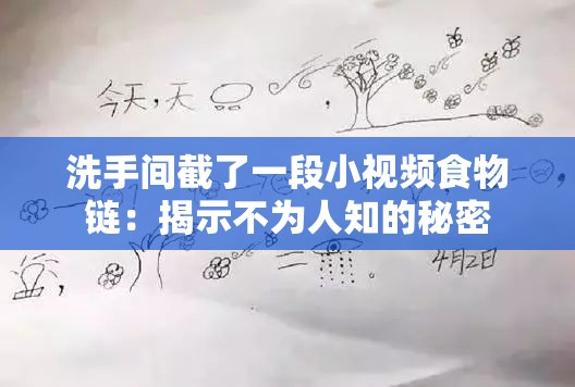 洗手间截了一段小视频食物链：揭示不为人知的秘密