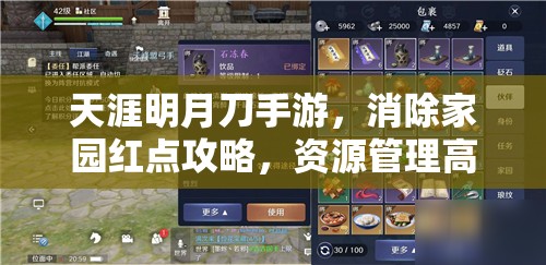 天涯明月刀手游，消除家园红点攻略，资源管理高效技巧及价值最大化指南