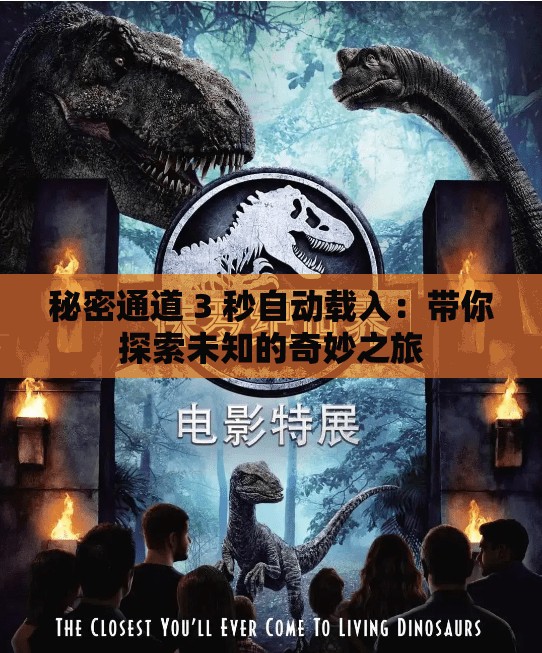 秘密通道 3 秒自动载入：带你探索未知的奇妙之旅