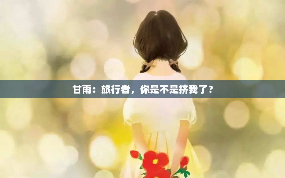 甘雨：旅行者，你是不是挤我了？
