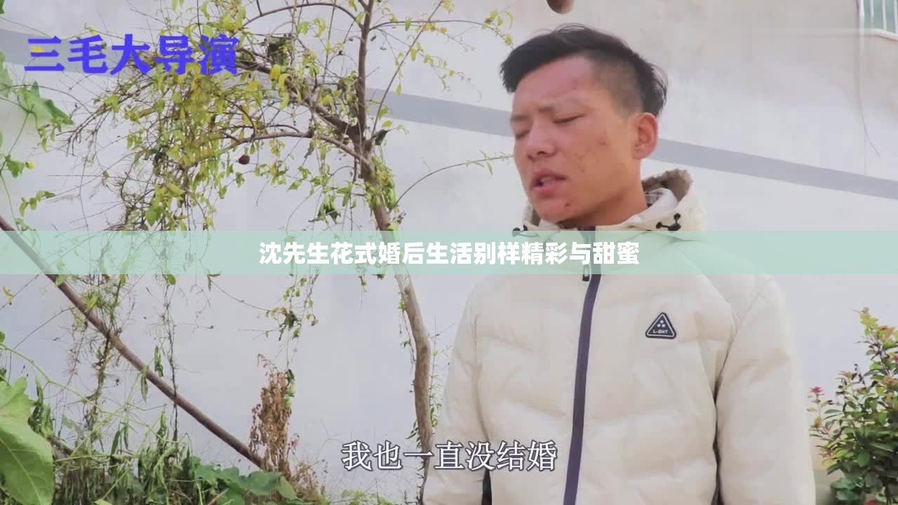 沈先生花式婚后生活别样精彩与甜蜜